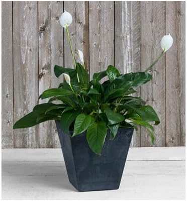 ArtStone Root & Vessel, Black, 35128 Ella Square Planter, 12, Inch