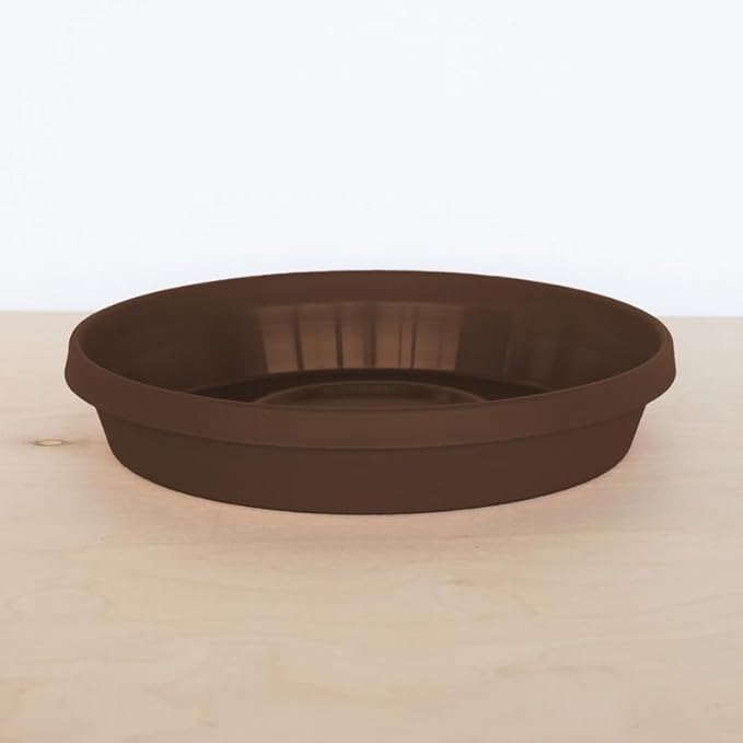 Bloem Terra Resin Saucer Tray: 9.25" Bottom Width - Chocolate Brown - Matte, Durable, Ribbed Bottom, Indoor and Outdoor, Fits 12" Terra Pots