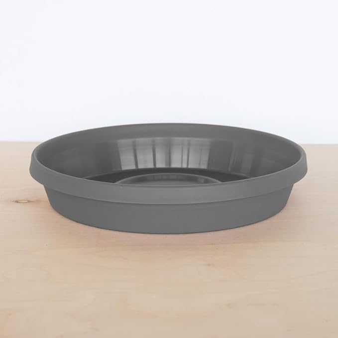 Bloem Terra Resin Saucer Tray: 9.25" Bottom Width - Charcoal - Matte, Durable, Ribbed Bottom, Indoor and Outdoor, Fits 12" Terra Pots