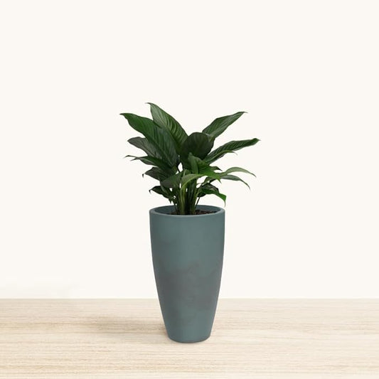 20.9" Tall Planter | Eco-Friendly, Durable, Lightweight | Indoor/Outdoor Use, All-Weather, Contemporary Design by Brazilian Artisans - Green