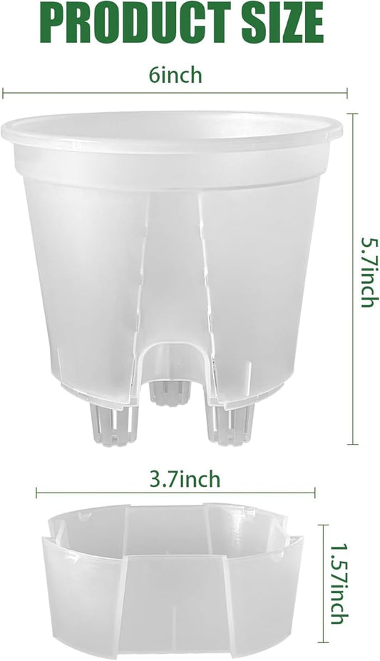 Cdd's Path 5-Pack 6 Inch Self Watering Naked Root Planter Pots with Drainage Holes & Reservoir, Plastic Planters with Air Pipes for Indoor Outdoor Plants,Clear
