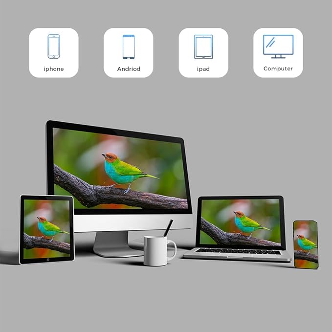 WOOLINK 3MP Smart Bird Feeder with Camera, 2K 2.4Ghz Solar Wireless Battery Camera With AI Bird Species Identification, HD Video Bird House with Camera for Ourdoor, IP65 Waterproof, Color Night Vision