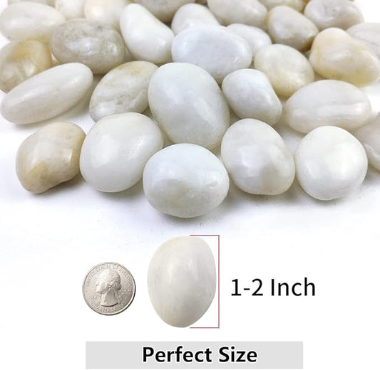 YISZM 20lbs White River Rocks, 1-2 Inch Natural Pebbles for Indoor Plants, High Polished Decorative Stones Vase Filler Fish Tank Aquariums Landscaping Garden Outdoor and Indoor DIY