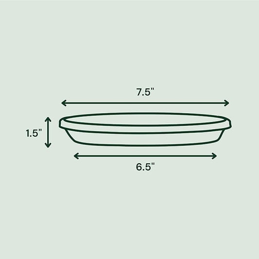 Bloem Terra Resin Saucer Tray: 6.5" Bottom Width - Navy Blue - Matte, Durable, Ribbed Bottom, Indoor and Outdoor, Fits 8" Terra Pots