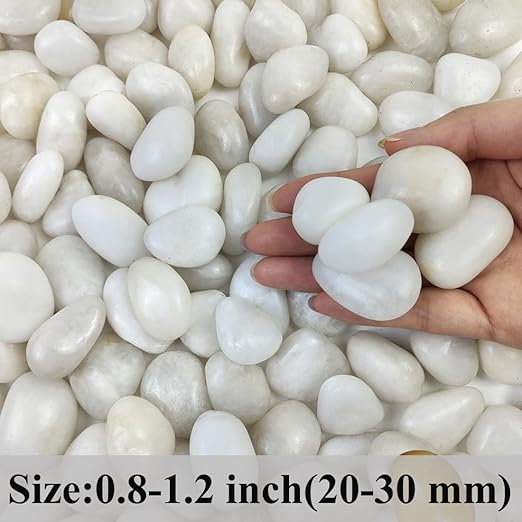 FANTIAN 2 lbs Small White Pebbles for Plants, 0.8-1.2 inch Decorative River Rocks for Plants, Aquariums, Landscaping. White Stones for Planter Vase and Outdoor Garden Rocks