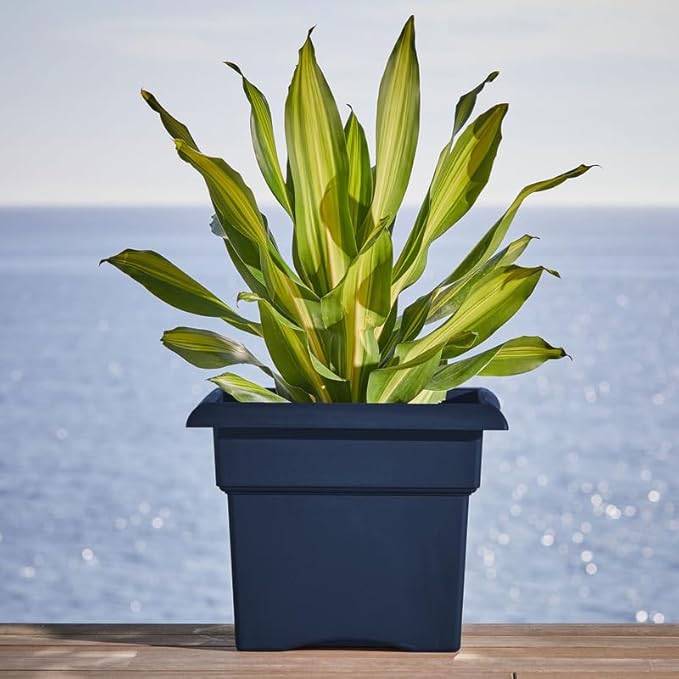 Bloem Veranda 18" Navy Square Deck Box Planter with Optional Knock-Out Drainage Holes