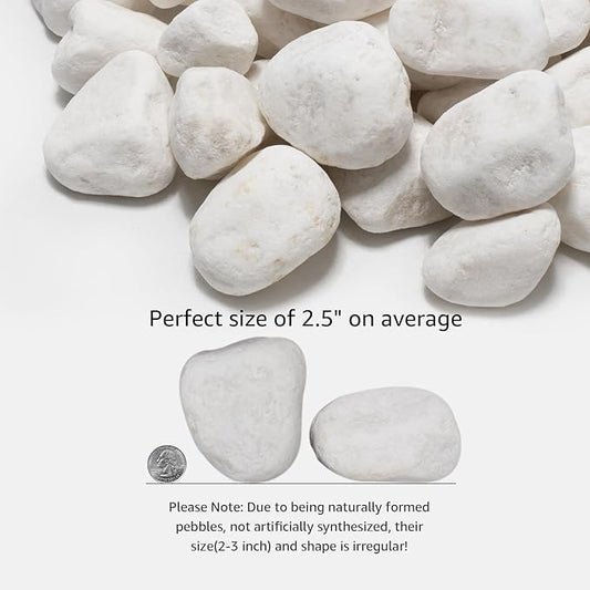White Natural River Rocks, 2-3.5 Inch Decorative Stones for Plants, Garden, and Landscaping – 40LB, Ideal for Fish Tanks, Vases, Crafting, Home Decor, and Outdoor Landscaping