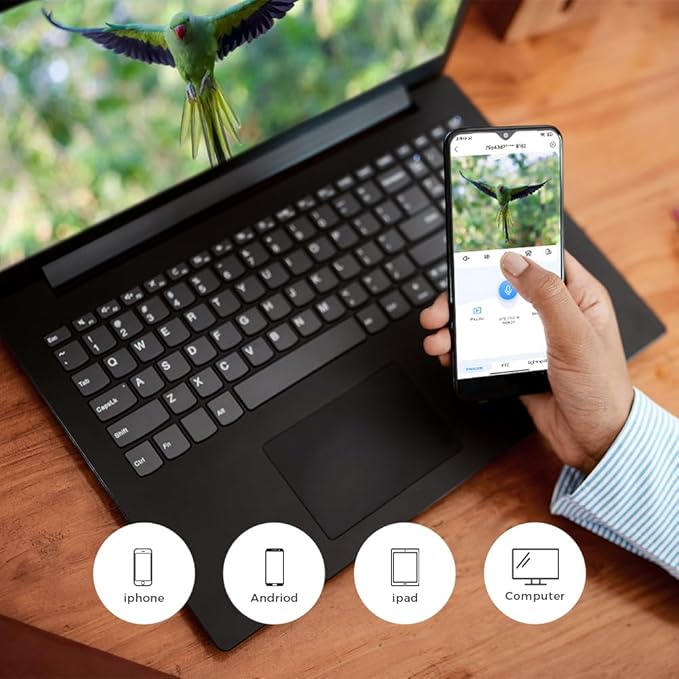 WOOLINK 3MP Smart Bird Feeder with Camera, 2K 2.4Ghz Solar Wireless Battery Camera With AI Bird Species Identification, HD Video Bird House with Camera for Ourdoor, IP65 Waterproof, Color Night Vision