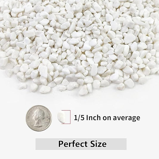 5LB Succulent and Cactus Gravel Pebbles, 1/5 Inch White Natural Decorative Polished Stones, River Rocks for Plants, Vases, Aquariums, Terrarium and Outdoor Gardening