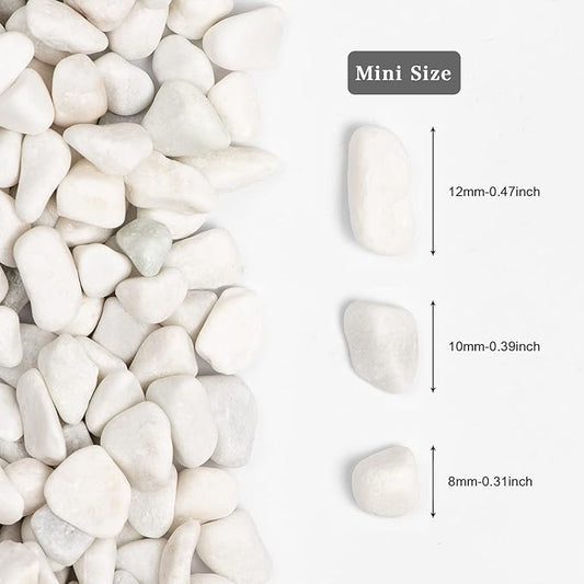 11lbs White Natural River Rocks, Polished Pebbles for Plants Garden, 0.3-0.8 inch Decorative White Stones, Ideal for Fish Tank, Vases, Crafting, Home Decor and Garden Landscaping Rocks,White