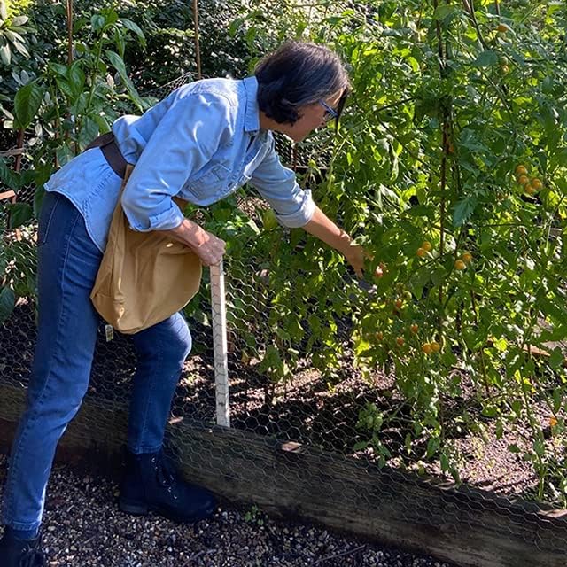 UpBloom Harvest & Weeding Waist Apron with Pockets | Berry Picker/Garden Apron/Foraging Bag for Harvest - Vegetables, Fruits