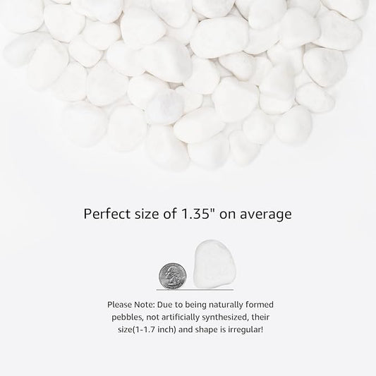 White Natural River Rocks, 1-1.5 Inch Decorative Stones for Plants, Garden, and Landscaping – 10LB, Ideal for Fish Tanks, Vases, Crafting, Home Decor, and Outdoor Landscaping