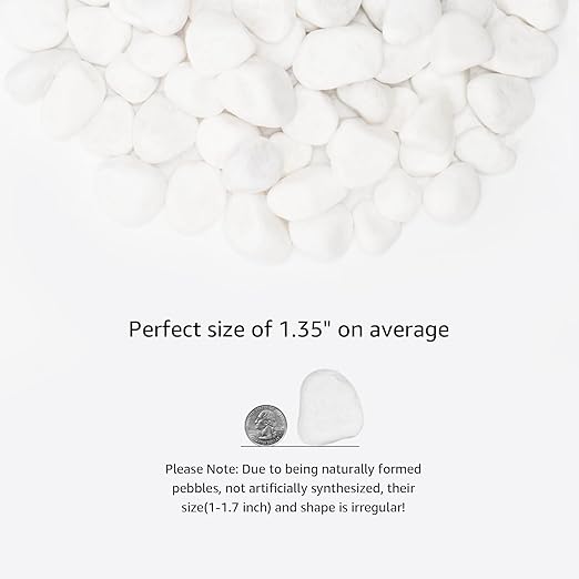 White Natural River Rocks, 1-1.5 Inch Decorative Stones for Plants, Garden, and Landscaping – 20LB, Ideal for Fish Tanks, Vases, Crafting, Home Decor, and Outdoor Landscaping