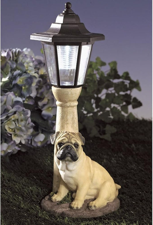 Bits and Pieces - Solar Dog Lantern-Solar Powered Garden Lantern - Resin Dog Sculpture with LED Light (Fawn Pug) - 13.5" Tall