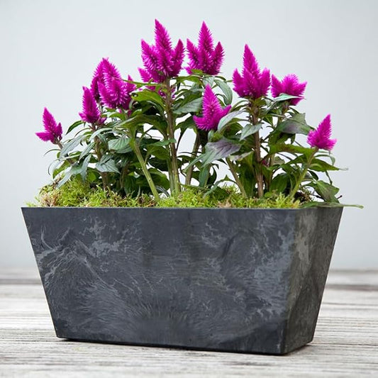 ArtStone Ella Flower Box, Black, (lies between 14 inch to 14.5-Inch)