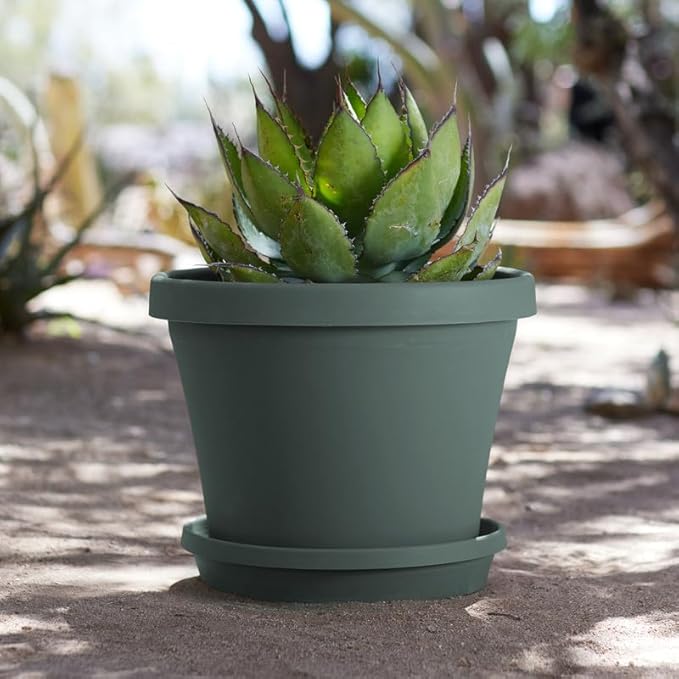 Bloem Terra Resin Saucer Tray: 9.25" Bottom Width - Basil Green - Matte, Durable, Ribbed Bottom, Indoor and Outdoor, Fits 12" Terra Pots