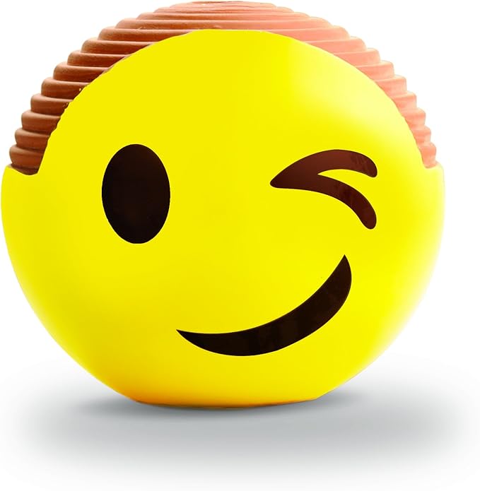 Chia Pet Emoji Winky with Seed Pack, Decorative Pottery Planter, Easy to Do and Fun to Grow, Novelty Gift, Perfect for Any Occasion