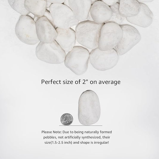 White Natural River Rocks, 1.5-2.5 Inch Decorative Stones for Plants, Garden, and Landscaping – 20LB, Ideal for Fish Tanks, Vases, Crafting, Home Decor, and Outdoor Landscaping