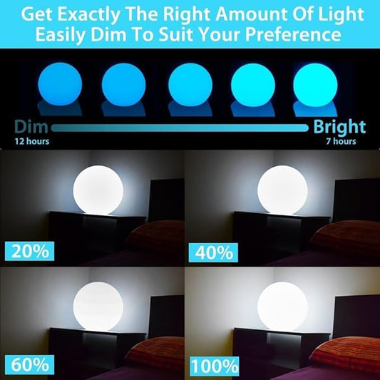 16-Inch LED Ball Light & 10-Inch Globe Light