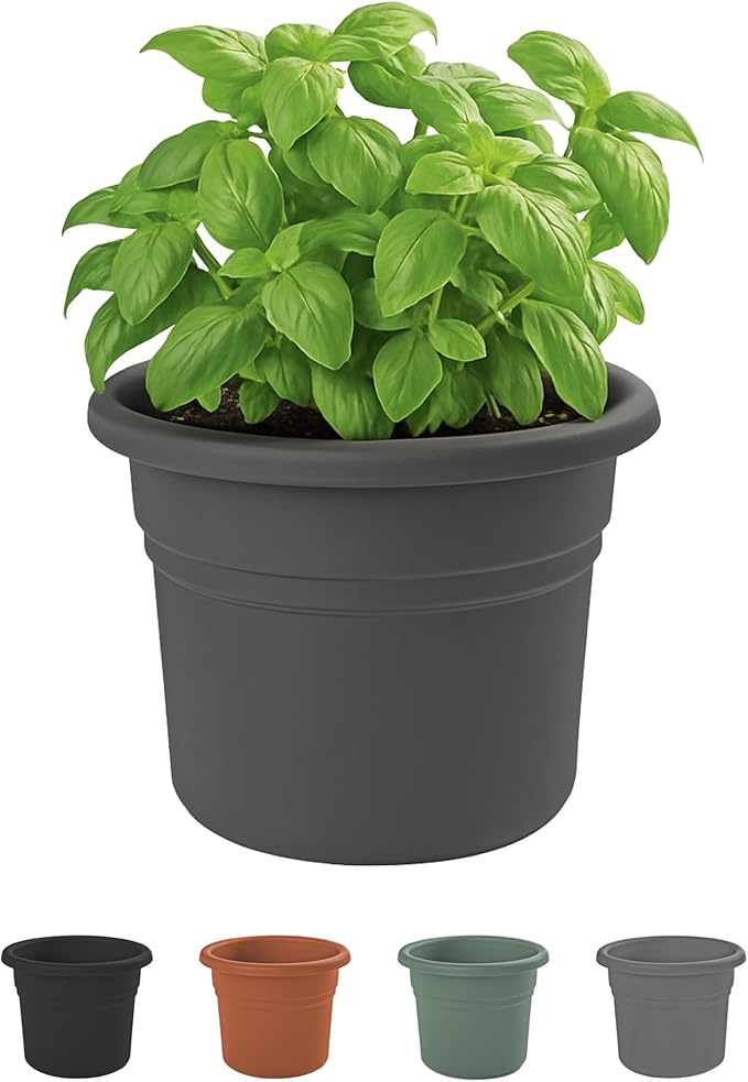 Bloem Posy 8" Charcoal Round Resin Planter Pot Indoor and Outdoor Gardening