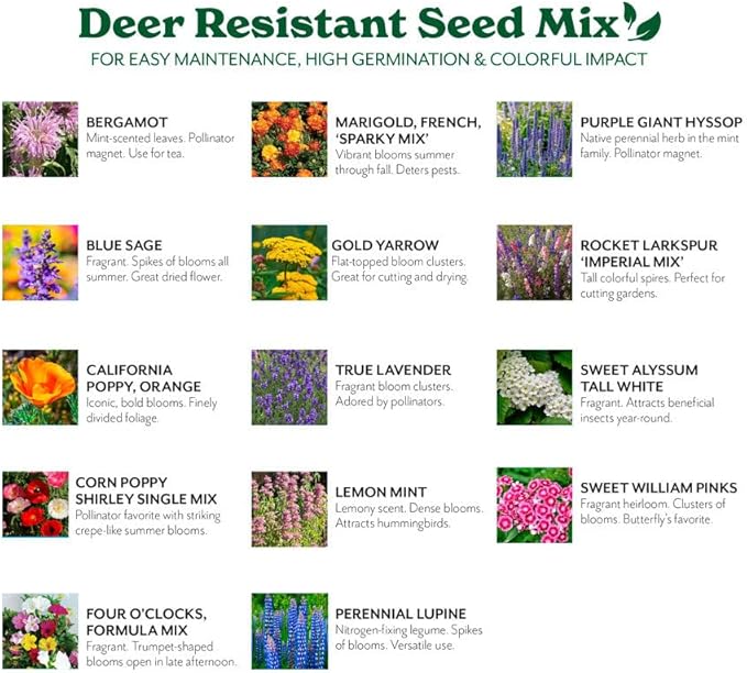 Grow Your Own Vibrant Annual and Perennial Wildflower Garden Seed Mixture, Varieties for Pollinators and Spring Gardens - Deer Resistant Mix, 1 lb