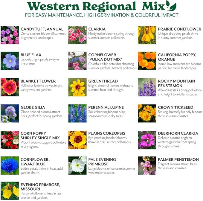 Grow Your Own Vibrant Annual and Perennial Wildflower Garden Seeds Mixture, Varieties for Pollinators and Spring Gardens - Western Regional Mix, 1 lb