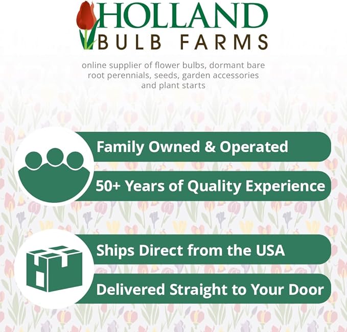 Homemade Herb Kit – All-in-One Tea Thyme – Indoor Garden Planter - Grow Your own Tea Herbs – Live Seeds Ready to Plant – Pleasantly Scented