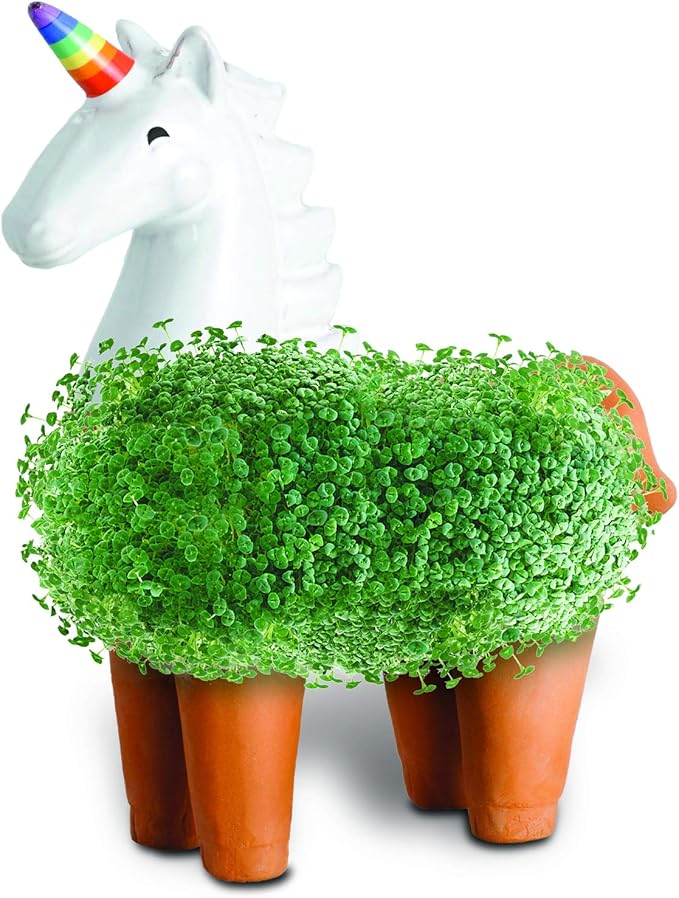 Chia Pet Unicorn Decorative Pottery Planter, Easy to Do and Fun to Grow