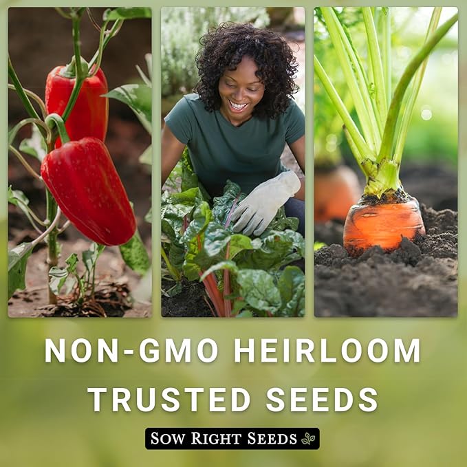Sow Right Seeds - Lemon Cucumber Seeds for Planting - Non-GMO Heirloom Seeds with Instructions to Plant and Grow a Home Vegetable Garden - Unique Round Variety with Melon Flavor for Outdoors (1)