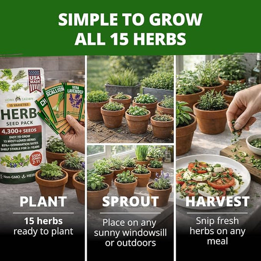 HOME GROWN Herb Seeds for Planting 15-Pack Massive Seed Count 4,300+ Seeds Non-GMO Heirloom | Extra Large | Culinary Herb Kit, Indoor Outdoor & Hydroponic | Grow Your Own Herbs | Gardening Gift