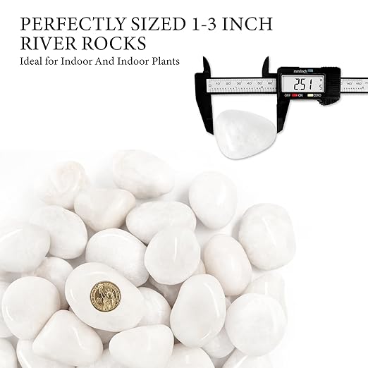 4lb White River Rocks for Plants, 1-3 Inch Pebbles for Indoor Plants, Polished Garden Rocks Outdoor Landscaping, Decorative Stones for Vases, Succulents, Aquarium, Walkways