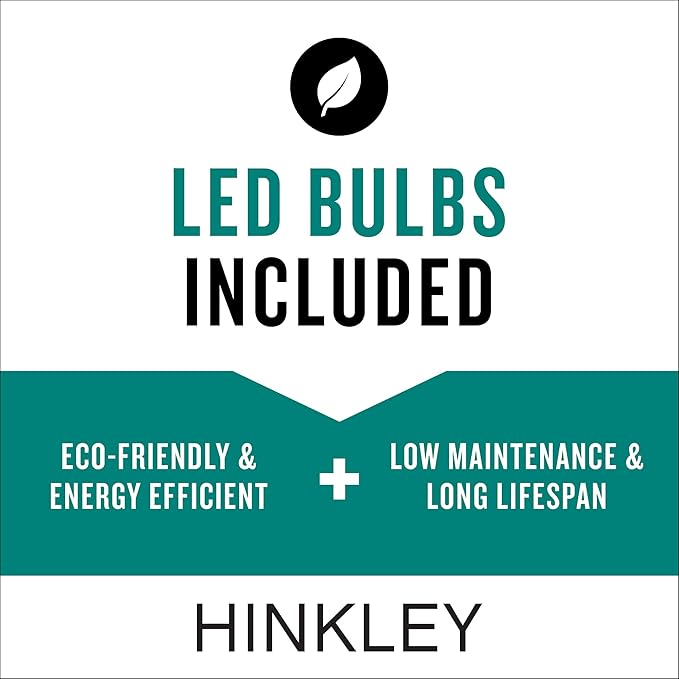 Hinkley Atlantis 15014TT-LL Small LED Low Voltage Landscape Pathway Light - 12v, Dimmable, Aluminum - Titanium
