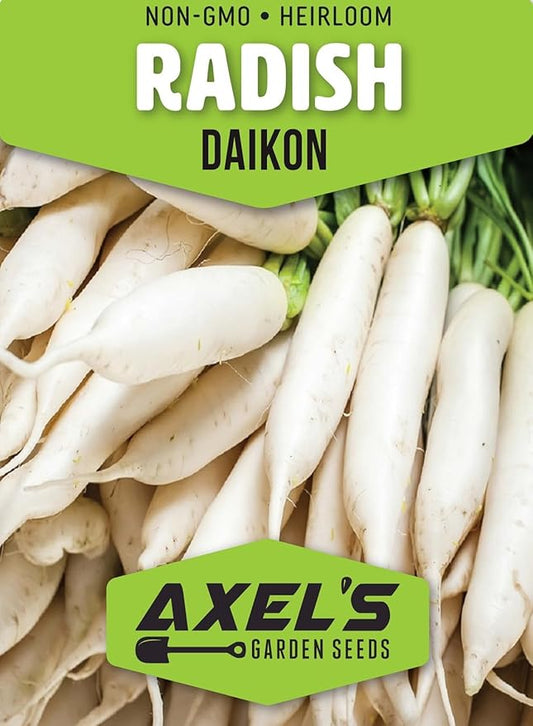 Radish Seeds for Planting – Non-GMO Heirloom Organic Vegetable Seeds – Full Instruction Packets to Plant in Your Home Outdoor Garden – Gardening Gift –100 Daikon Radish Seeds Per Pack (5)