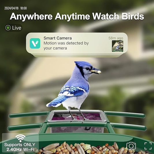 Bird Feeder with Camera Solar Powered : Smart Camera Bird Feeder 2K Live Feed Cam for Backyard - AI Identify Auto Capture Videos Pictures, Gifts for Birdlover Mom Dad, 2.4GHz WiFi