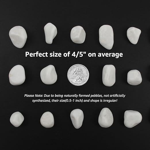 10 lbs White Polished Decorative Stones, 0.5-1 Inch Landscape Rocks for Indoor Plants, Garden, Outdoor Pathways, Vase Fillers, Pots, Glass Containers, and Craft Pro (Pure White, Weight: 10 LB)