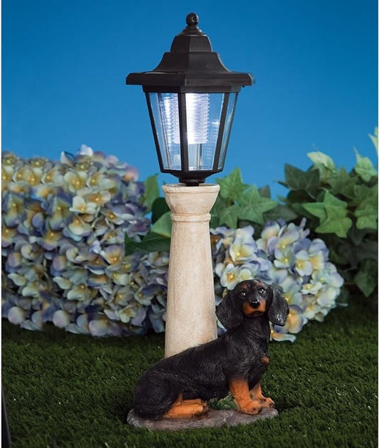 Bits and Pieces - Solar Dog Lantern-Solar Powered Garden Lantern - Resin Dog Sculpture with LED Light (Dachshund) - 13.5" Tall