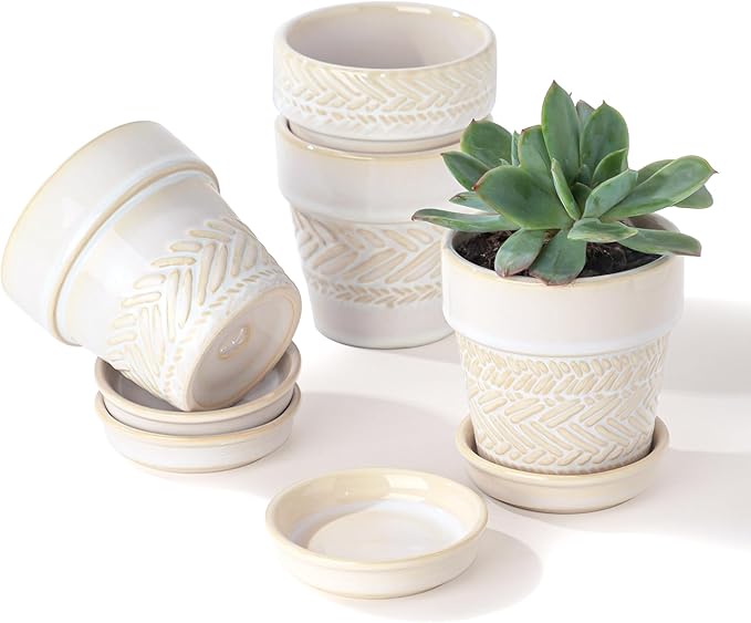 Fayoula Succulent pots,Indoor Small Succulent Bonsai,3 Inch Mini Ceramic Succulent Pots with Saucer and Drainage Hole, Decorative Planter for Succulent, Cactus, Set of 4.