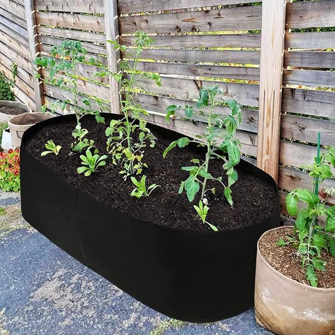 Fabric Raised Garden Bed, Raised Planters for Outdoor Plants, Rectangle Garden Grow Bag for Herb Flower and Vegetables, 2 ft X 4 ft