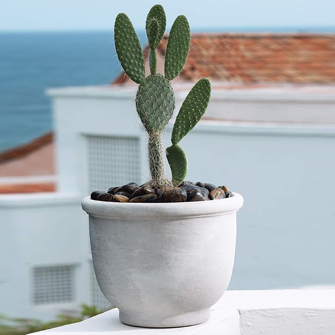 Crescent Garden Agave Planter, Classic Lightweight Resin Planter - UV-Resistant Flower Pots - Indoor & Outdoor Pot for Flowers, Houseplant, Herbs, 18" W x 13.5" H (Parchment)