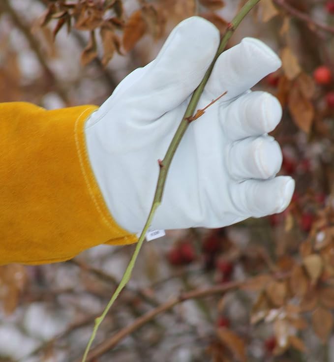 Garden Gloves Thorn Proof Rose Pruning XS Small Medium Large XL XXL 3XL