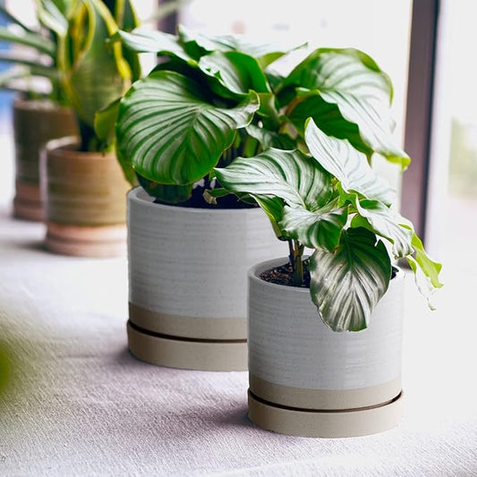 HERDUK 6 + 8 Inch Plant Pots, Ceramic Planter Pot with Drainage Hole & Saucer, Indoor/Outdoor Cylinder Round Planter Pot, Cream & Beige