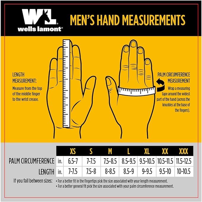 Wells Lamont Versatile Work Gloves Lightweight, Durable, Comfortable Jersey Basic, 12-Pair Bulk Pack, Large (506LZ)
