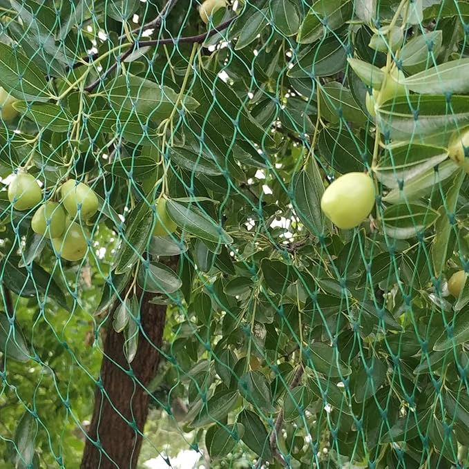 Bird Netting for Garden 6.5X100 FT, 1/4 Inch Mesh, Protect Blueberry, Strawberry, Tomatos, Vegetables. Fruit Tree Netting for Cicadas Against Deers, Squirrels, Bunnies, and Small Critters.