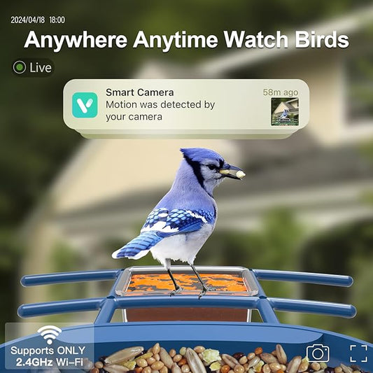 Bird Feeder with Camera Solar Powered : Smart Camera Bird Feeder 2K Live Feed Cam for Outdoor Backyard - AI Identify Auto Capture Videos Pictures, Gifts for Birdlover Mom Dad, 2.4GHz WiFi