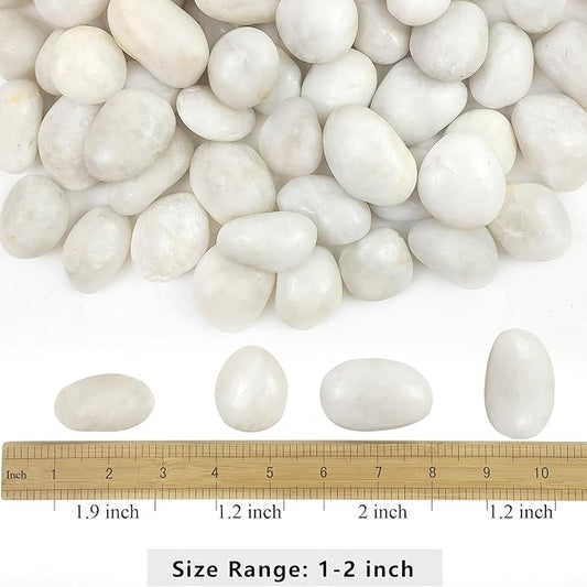 YISZM 5lbs White River Rocks, 1-2 Inch Natural Pebbles for Indoor Plants, High Polished Decorative Stones Vase Filler Fish Tank Aquariums Landscaping Garden Outdoor and Indoor DIY