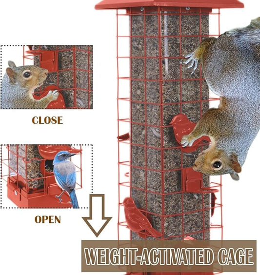 Squirrel Proof Bird Feeders for Outdoors, Metal Wild Bird Feeder for Outside Hanging, 4 Ports Perches, 3LB Large Capacity (Tangerine)