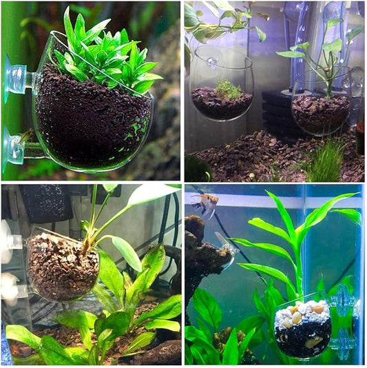 Carpetsma Aquarium Plant Pot, Glass Fish Tank Plants Holder - Aquarium Planter with 2 Suction Cups for Fish Tank Decor - 1 Pack