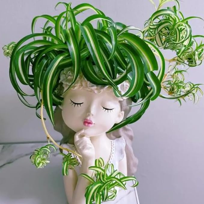 Resin Fairy Girl Planter with 2 Rooted Spider Plant Cuttings – Elegant Desktop Flower Pot & Home Décor Gift