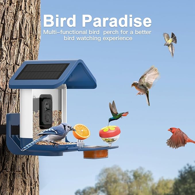 Bird Feeder with Camera Solar Powered : Smart Camera Bird Feeder 2K Live Feed Cam for Outdoor Backyard - AI Identify Auto Capture Videos Pictures, Gifts for Birdlover Mom Dad, 2.4GHz WiFi