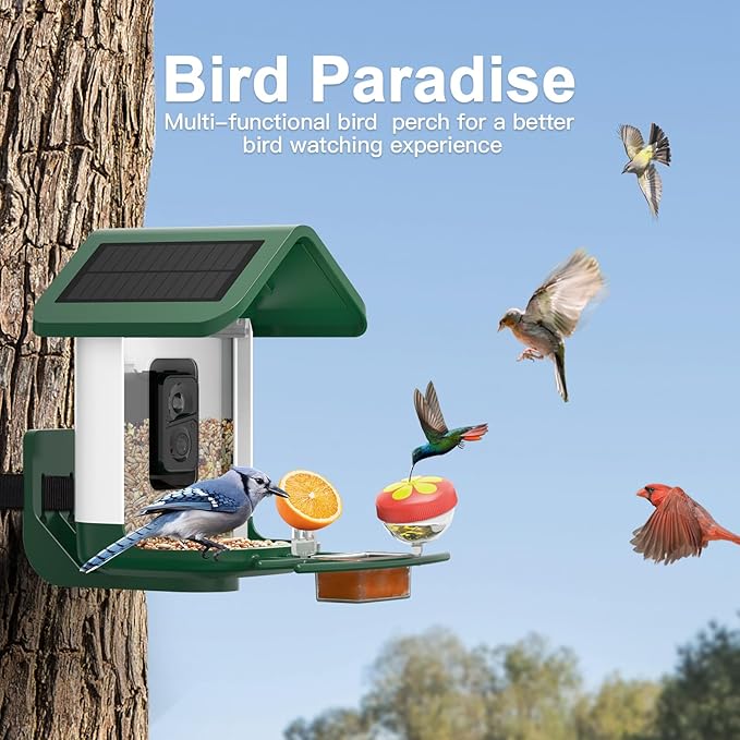 Bird Feeder with Camera Solar Powered : Smart Camera Bird Feeder 2K Live Feed Cam for Outdoor Backyard - Ai Identify Auto Capture Videos Pictures, Gifts for Birdlover Mom Dad, 2.4GHz WiFi